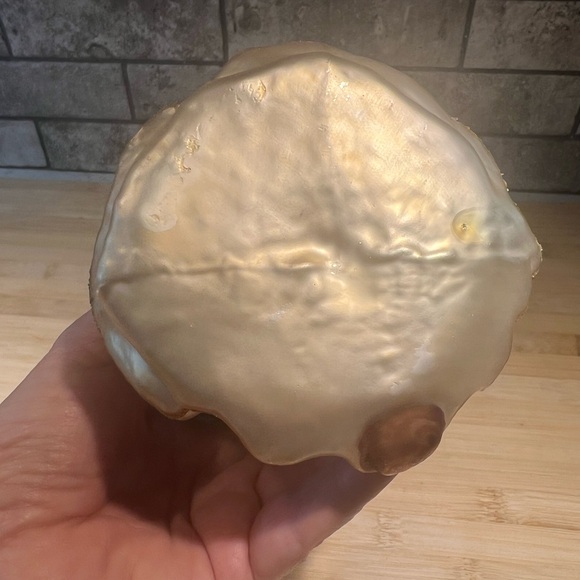 Robert Stanley Home Collection Santa w/Fur Cap and Cuffs Carrying Lantern & Tree - Picture 8 of 8